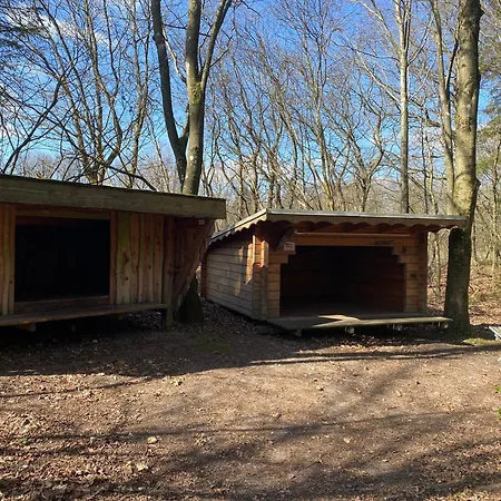 Krogager Primitiv - Krogen * 그린드스테드